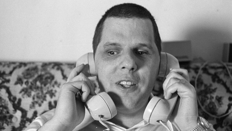 Imatge de Joybubbles