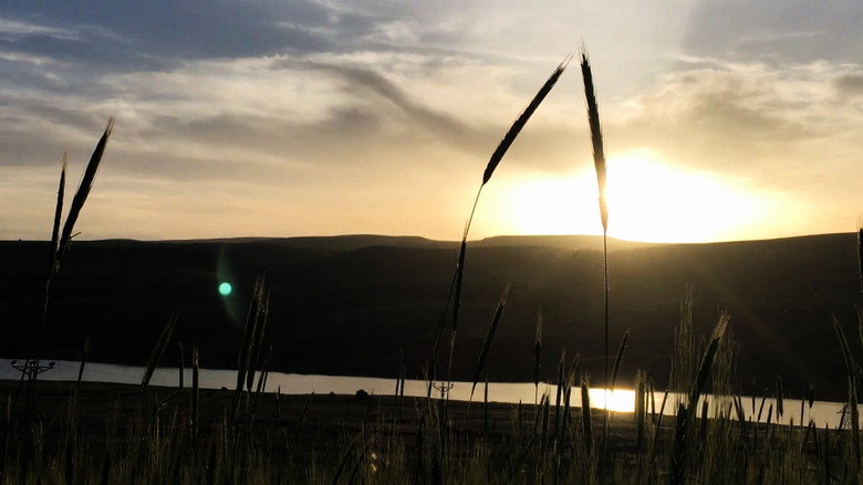 Imatge de Kızılırmak'ta Bir Köy: Kaymak