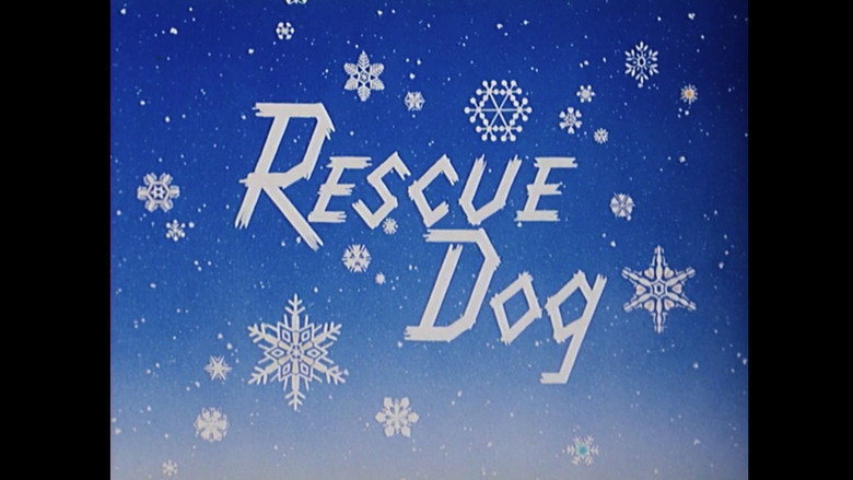 Rescue Dog