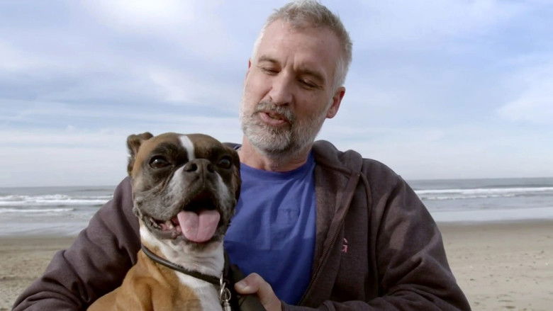 Still image for Amanda to the Rescue season 1 episode 5: Life's a Dog Beach Still image for Amanda to the Rescue season 1 episode 5: Life's a Dog Beach