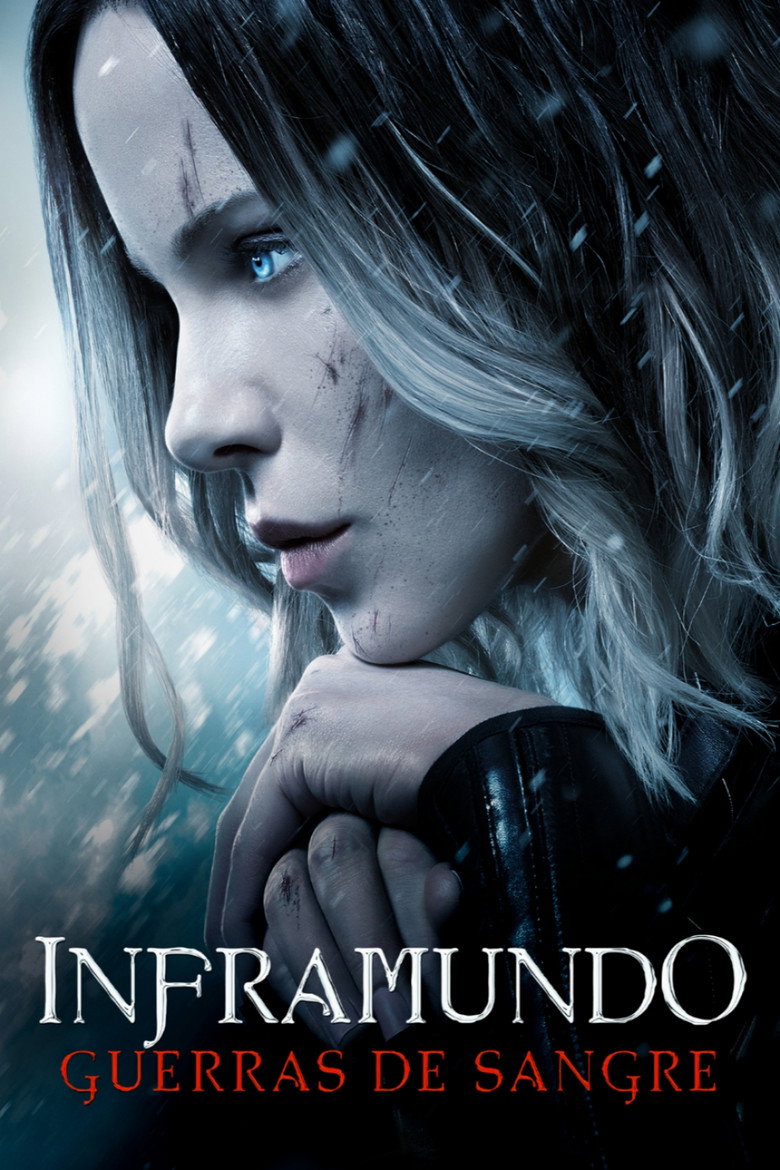 Póster la Película