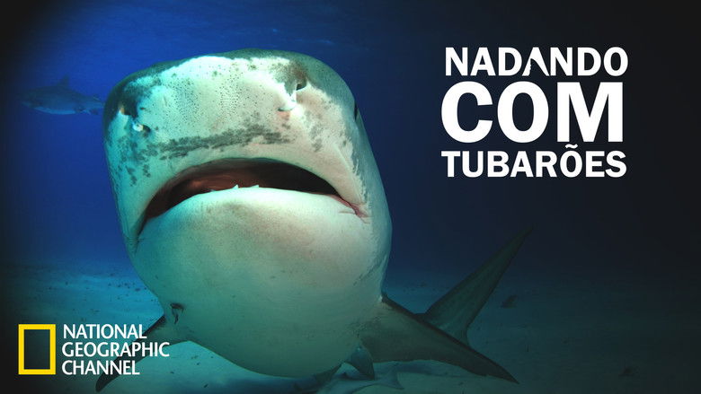 Gallery image from zDsCgzuBO3YyzKa2ScTr2mKdNFR.jpg