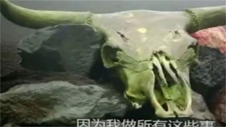 Still image for On the Road season 1 episode 12: Episode 12