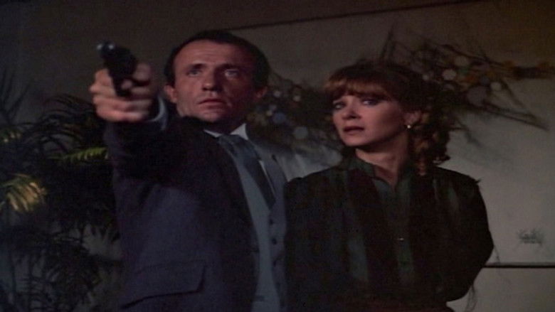 Sometimes Dreams Come True