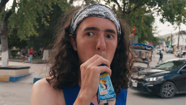 Una Historia de Ovejas y Luciérnagas (2025)