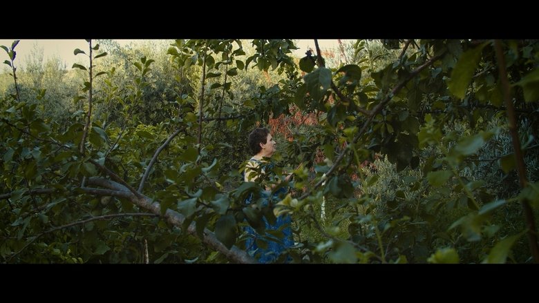 El cuento del limonero (2021)