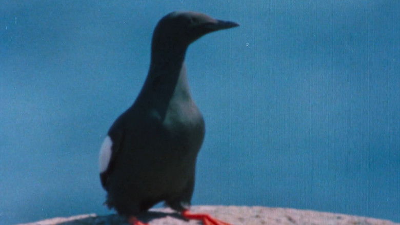 Gallery image from zG8y3Bzbw6PZuXn4oUDwA4lxKUv.jpg