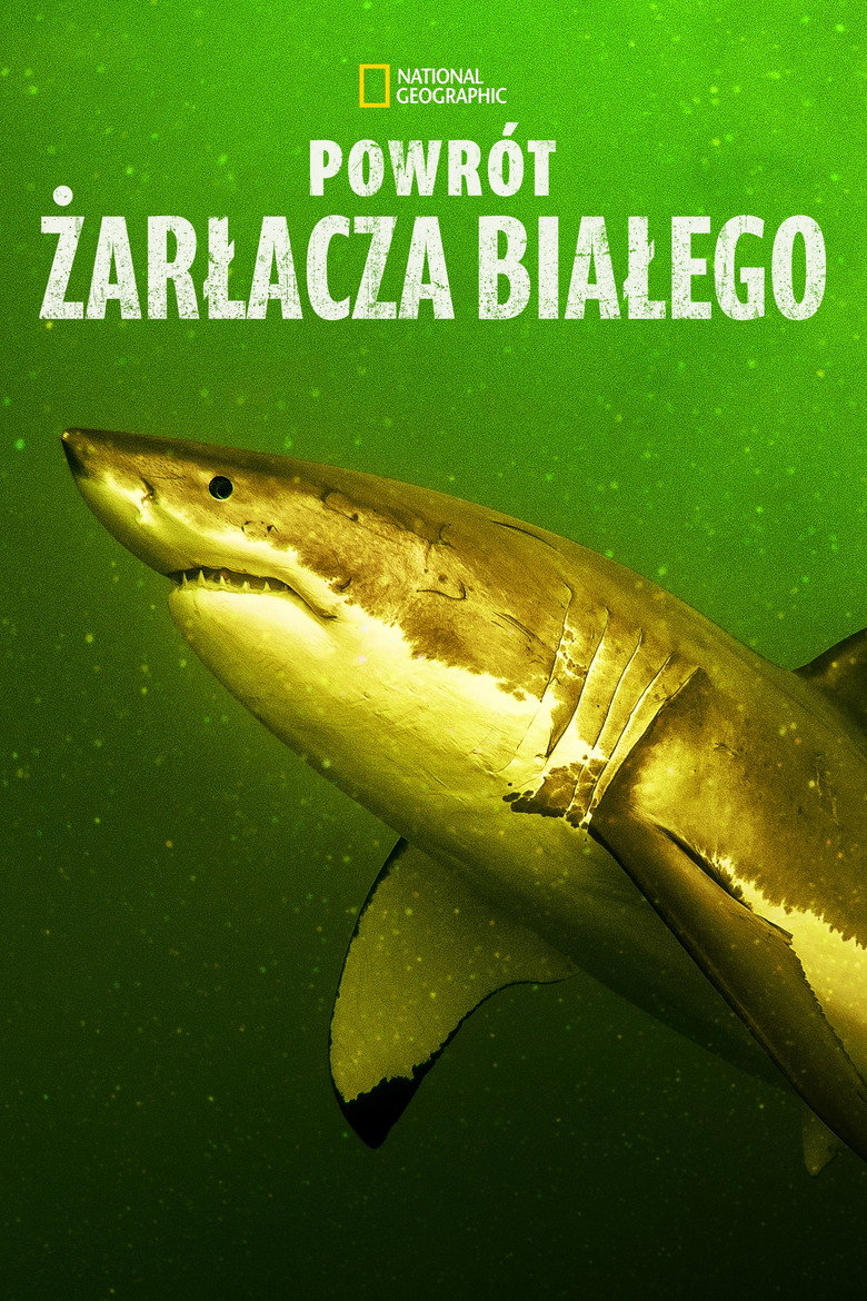 Plakat filmu Powrót rekina białego