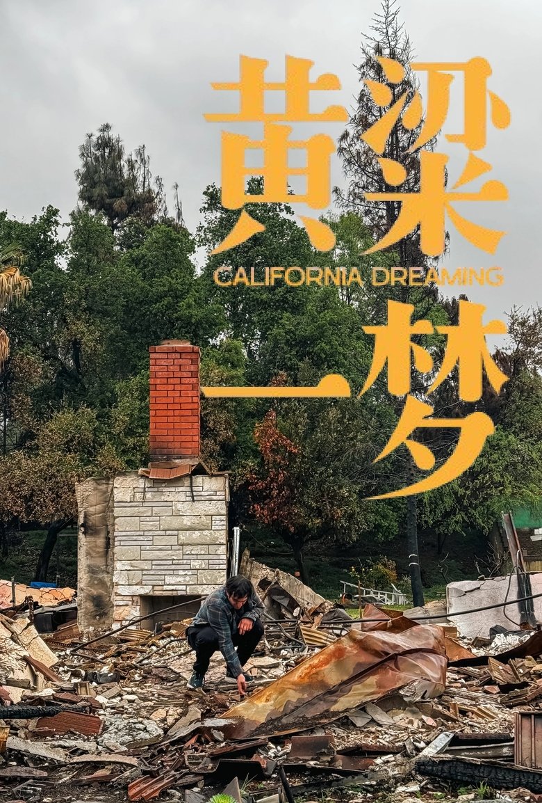 美洲大宝荐:黄粱一梦 main poster