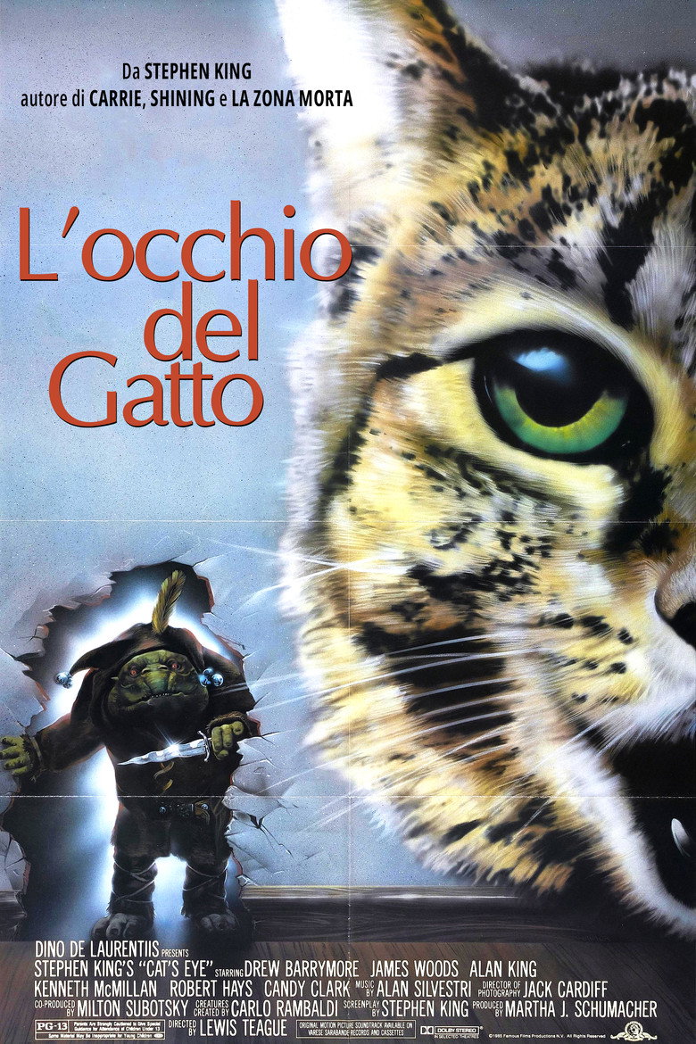 L'occhio del gatto