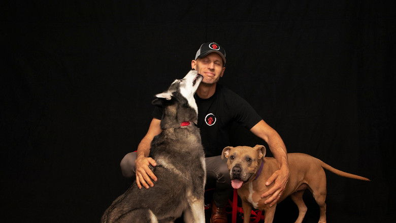 Gallery image from zGy7fcYVj2KOiOoDMaSUAGJSYSY.jpg