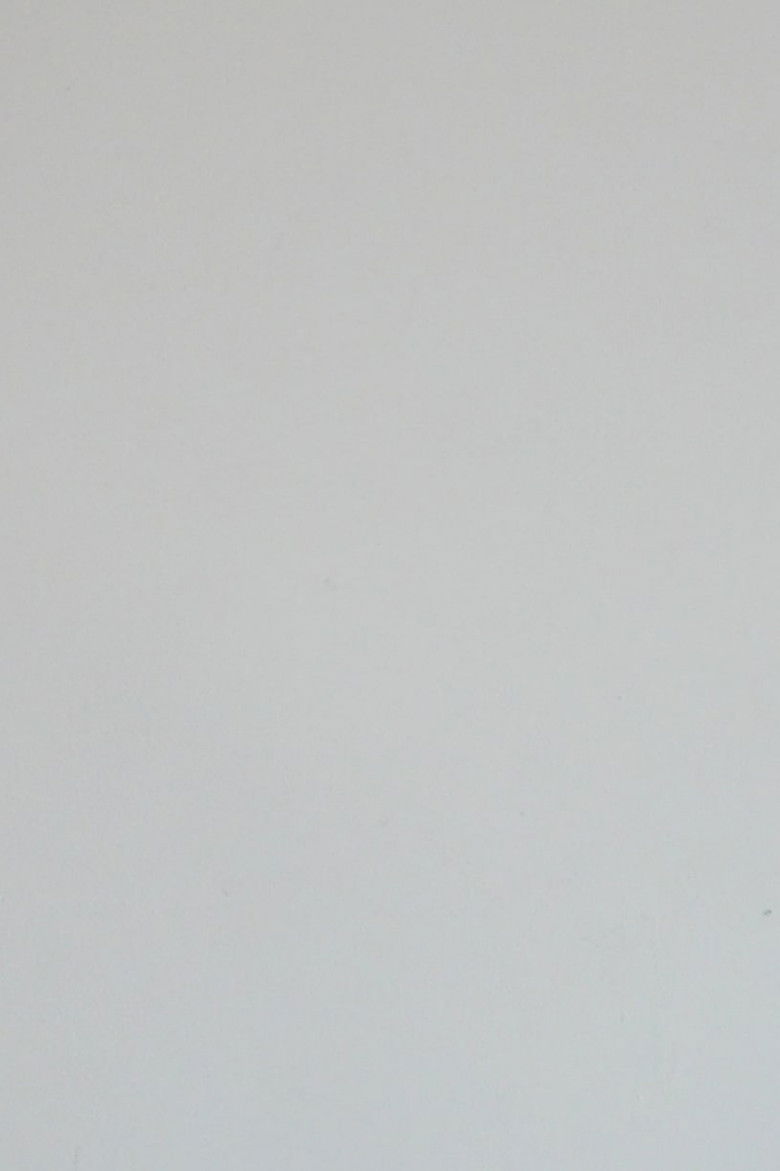 Imatge de le magnifique bruit de pages déchirées