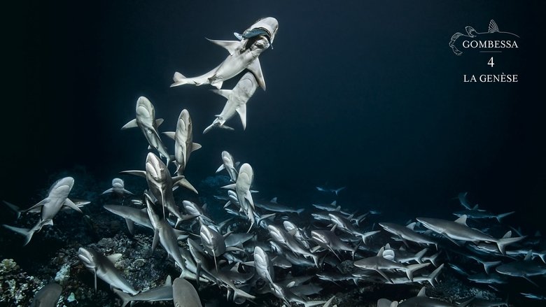 700 Sharks (Gombessa 4, Genesis) (2016)