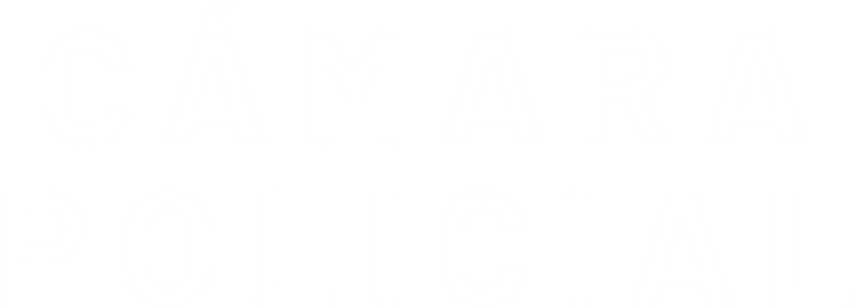 Imagen de Cámara Policial