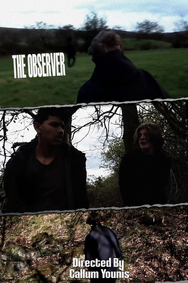 The Observer Poster