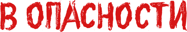 В опасности