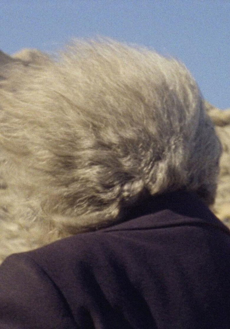 Imatge de La Tramuntana