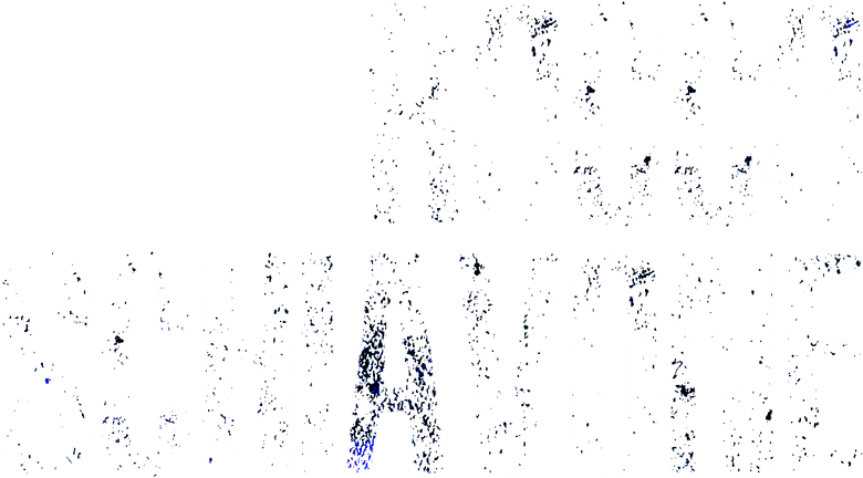 Рокко Скьявоне