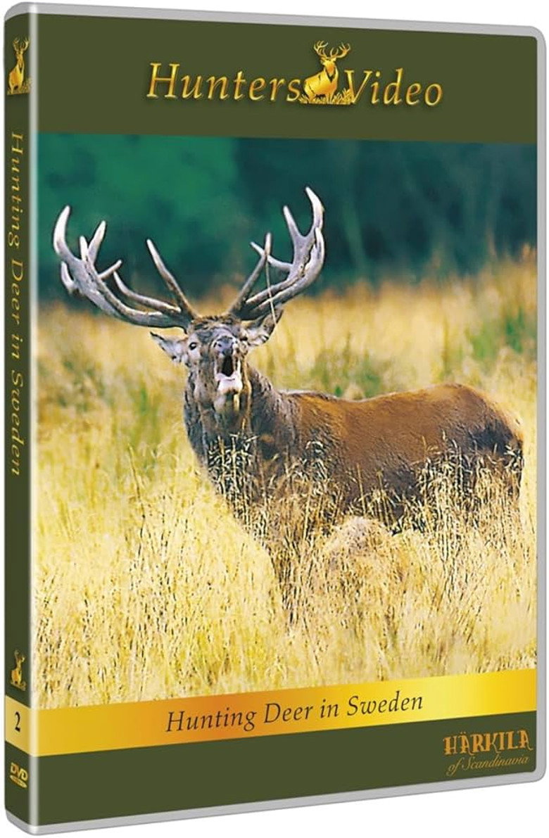 Hunting Deer in Sweden background