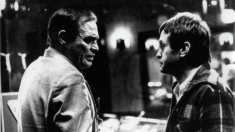 Gallery image from zKEbwQja791N5xcDf9qzcAKD6oG.jpg