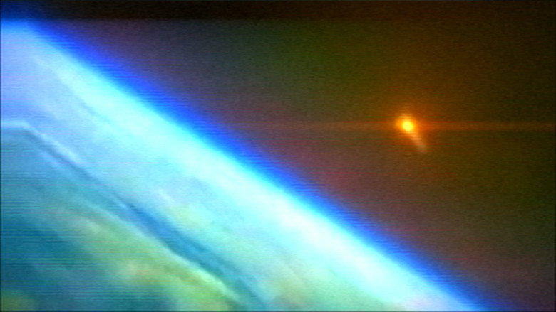 Imatge de A conquista da floresta