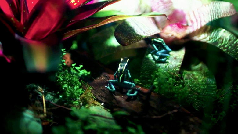 Still image for Scaled season 1 episode 1: Poison Dart Frog Family Still image for Scaled season 1 episode 1: Poison Dart Frog Family
