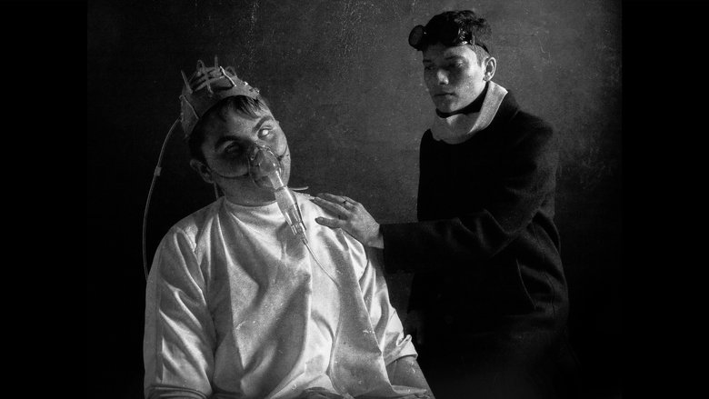 Gallery image from zKO5EjouH68aSBp0ucm06EBqhoc.jpg