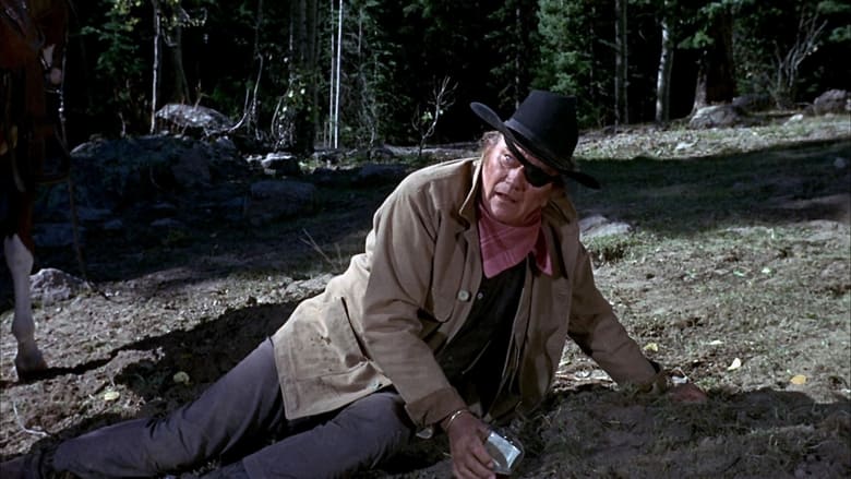 True Grit (1969)