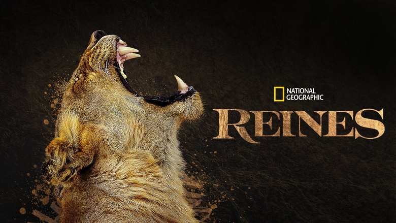 Gallery image from zKxxrr3VTCc4gnhn1bHZrGfh6gV.jpg