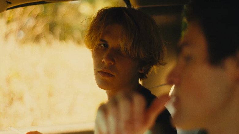 Frame from pansies