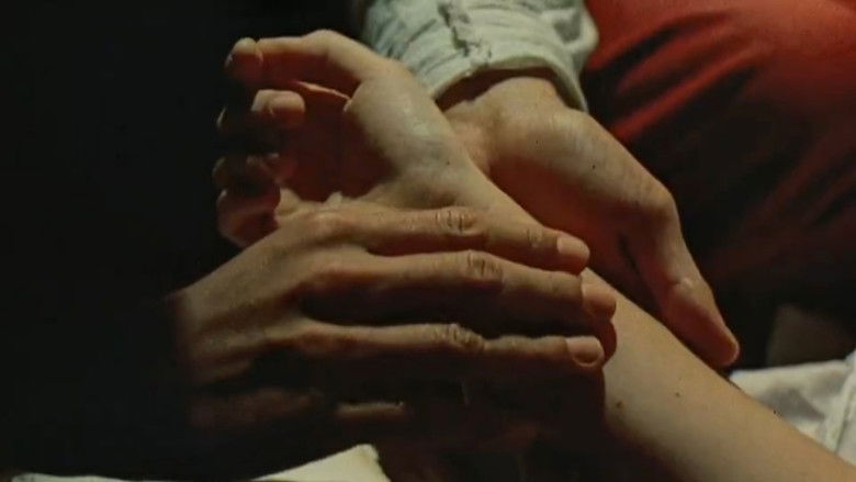 Gallery image from zLVjvGRGi2184dz2IJ7hZT5lXar.jpg