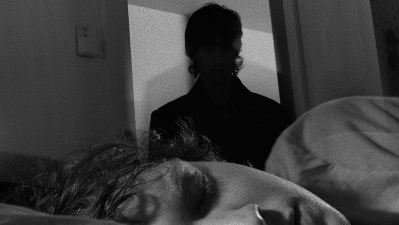 Imatge de Terms & Conditions.