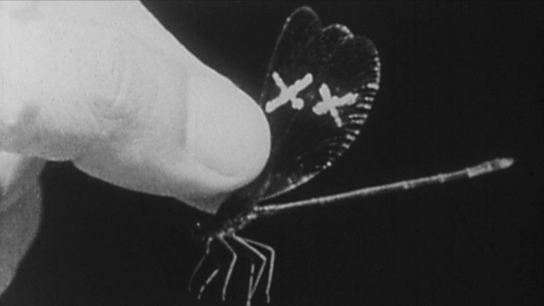 Gallery image from zMINEPzVAWxJiX2K0XLOxdBBAm6.jpg