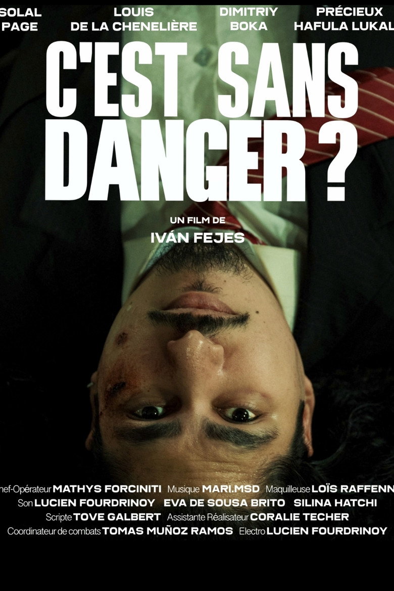 Imatge de C'est sans danger ?