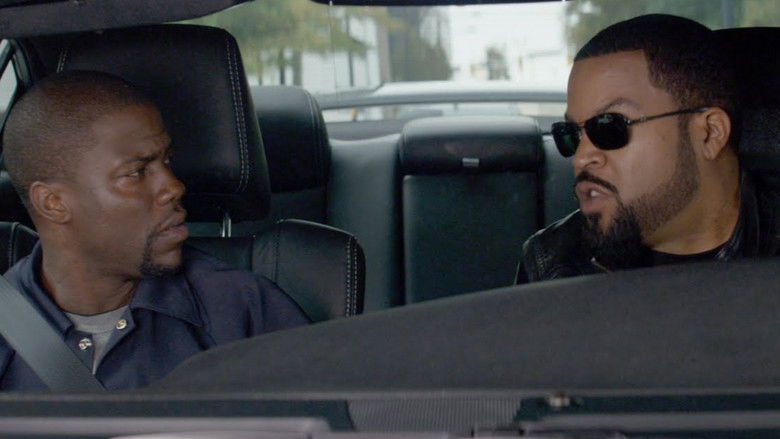 Backdrop de Ride Along Collection