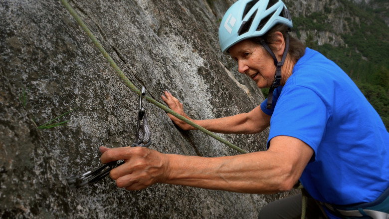 Climbing Into Life backdrop
