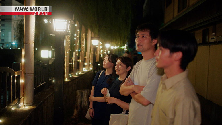 Bamboo Lights the Way