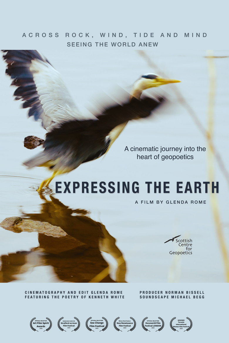 Expressing the Earth background