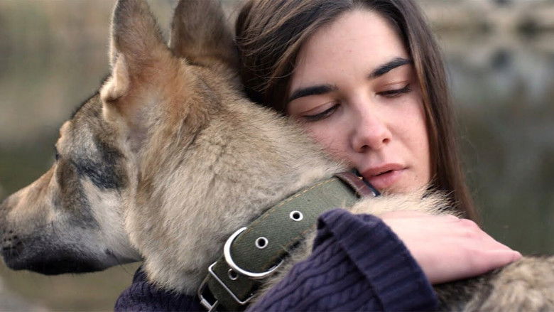 Still image for Джульбарс season 1 episode 8: Episode 8 Still image for Джульбарс season 1 episode 8: Episode 8