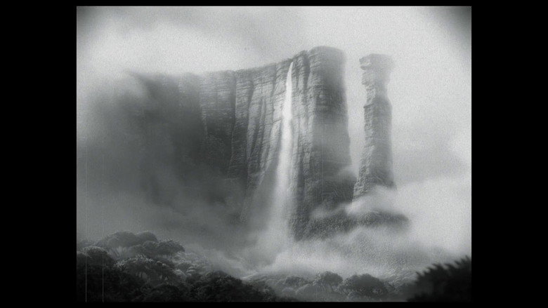 Film backdrop