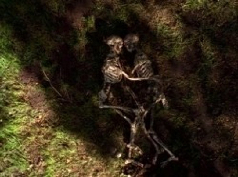 The X-Files S06E21 — Field Trip episode still