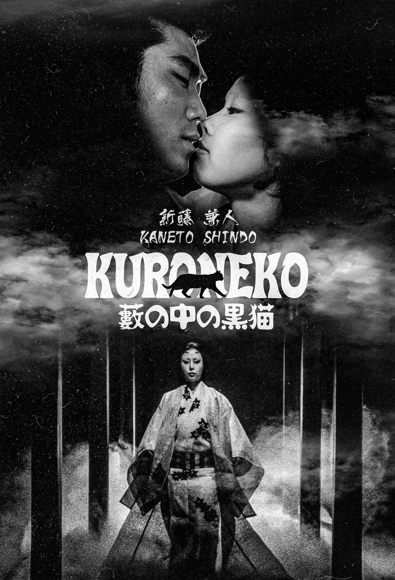Poster du film Kuroneko