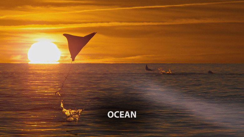 Still from Planet Earth III - Season 1 Episode 2