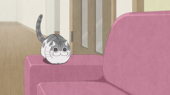 Still image for Nights with a Cat season 1 episode 28: Night 28: The Cat Sitting Next to You