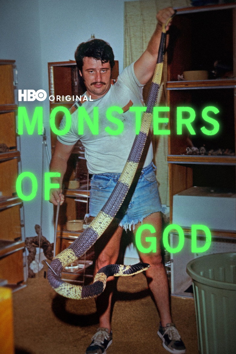 poster image of movie or series