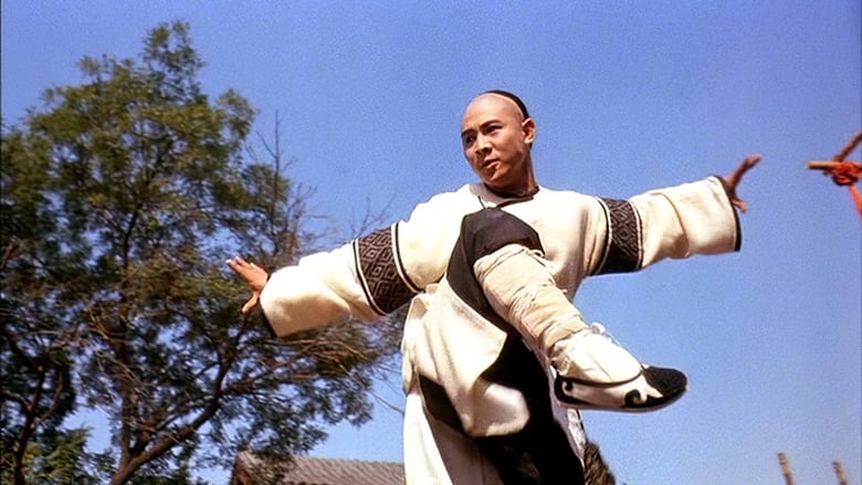 Fong Sai Yuk 2 (Movie, 1993) - MovieMeter.com