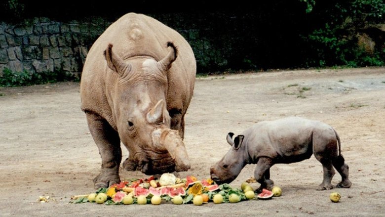 Přežili rok 2000 Sezóna 1 Epizoda 14 bombuj