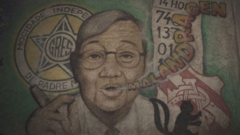 Still image for Doctor Castor season 1 episode 1: Episode 1 Still image for Doctor Castor season 1 episode 1: Episode 1