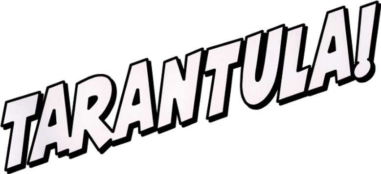 Imagen de Tarántula