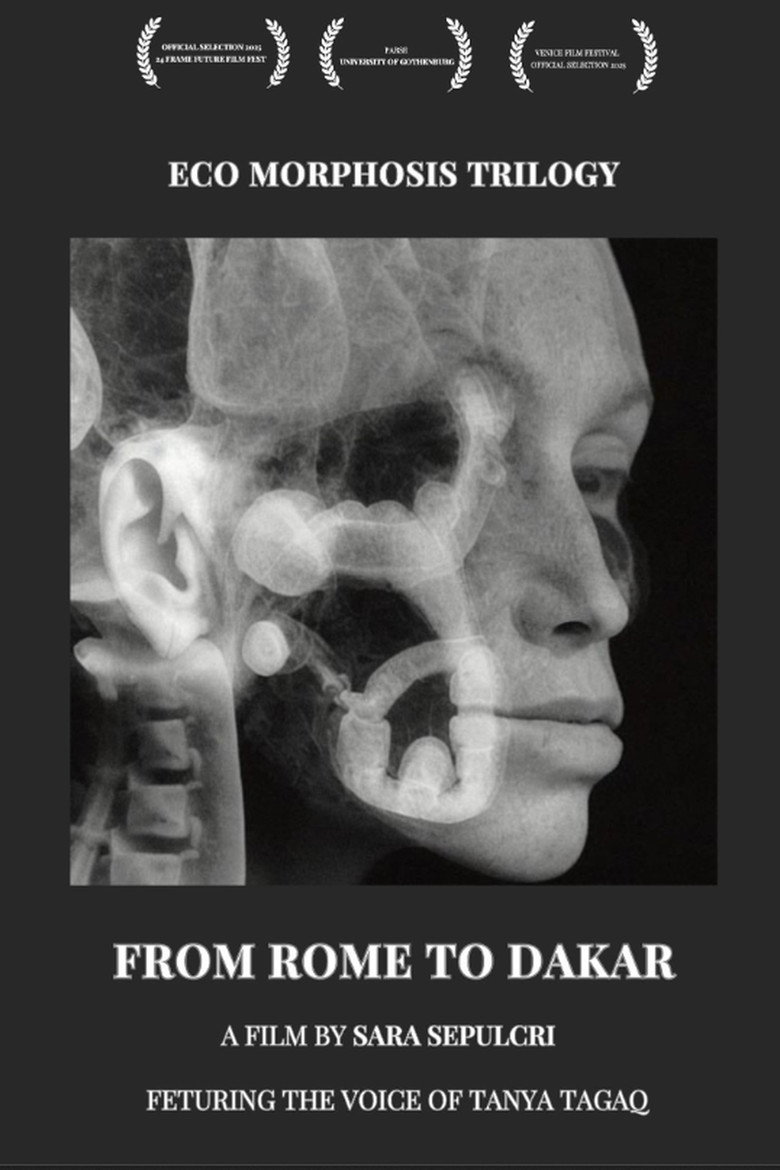From Rome to Dakar